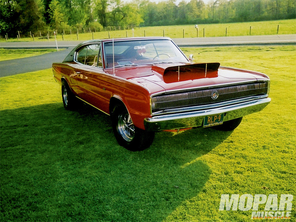 , hotrod, dragster
